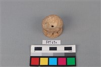 藏品(鯊魚骨)的圖片