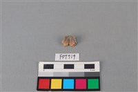 藏品(鹿骨)的圖片