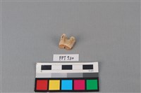 藏品(鹿骨)的圖片