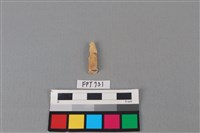 藏品(鹿骨)的圖片