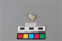 藏品(鹿骨)的圖片