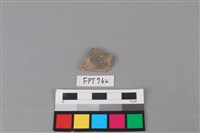 藏品(陶片)的圖片