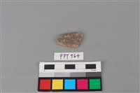 藏品(陶片)的圖片