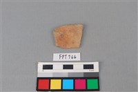 藏品(陶片)的圖片