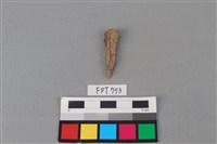 藏品(鐵釘)的圖片