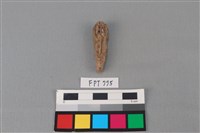 藏品(鐵釘)的圖片