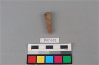 藏品(鐵釘)的圖片