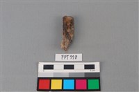 藏品(鐵器殘件)的圖片