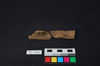 藏品(獸骨)的圖片