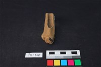 藏品(獸骨)的圖片