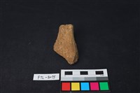 藏品(獸骨)的圖片