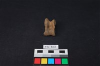 藏品(鹿骨)的圖片