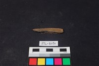 藏品(獸骨)的圖片