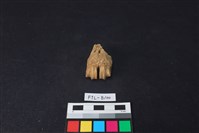 藏品(鹿骨)的圖片