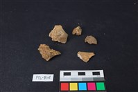 藏品(獸骨)的圖片