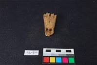 藏品(鹿骨)的圖片