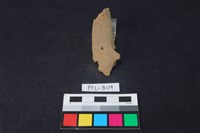 藏品(鹿骨)的圖片