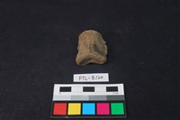 藏品(獸骨)的圖片