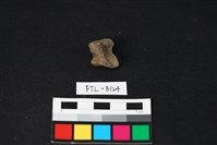 藏品(獸骨)的圖片