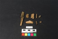 藏品(獸骨)的圖片