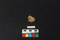 藏品(鹿骨)的圖片