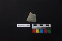 藏品(陶片)的圖片