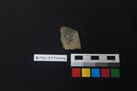 藏品(陶片)的圖片