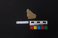 藏品(陶片)的圖片