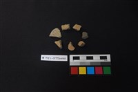 藏品(陶片)的圖片