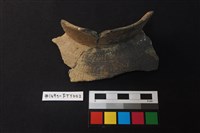 藏品(陶片)的圖片