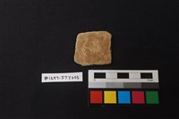 藏品(陶片)的圖片