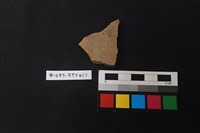 藏品(陶片)的圖片