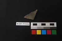 藏品(陶片)的圖片