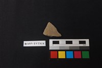 藏品(陶片)的圖片