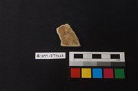 藏品(陶片)的圖片