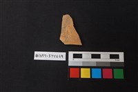 藏品(陶片)的圖片