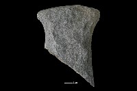 藏品(斧鋤形器)的圖片