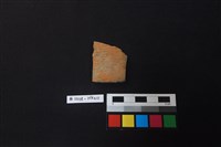 藏品(陶片)的圖片