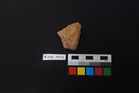 藏品(陶片)的圖片