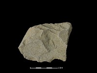 藏品(石片)的圖片