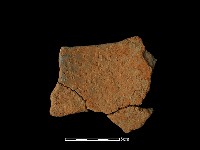 藏品(陶片)的圖片