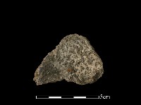 藏品(陶片)的圖片