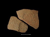 藏品(陶片)的圖片