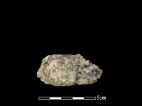 藏品(石材)的圖片