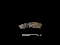 藏品(陶環)的圖片