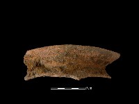 藏品(陶罐)的圖片