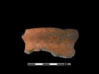 藏品(陶罐)的圖片