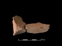 藏品(連杯形器)的圖片