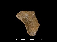 藏品(連杯形器)的圖片