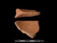 藏品(連杯形器)的圖片